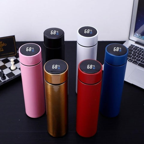 LED‑display smart water bottle